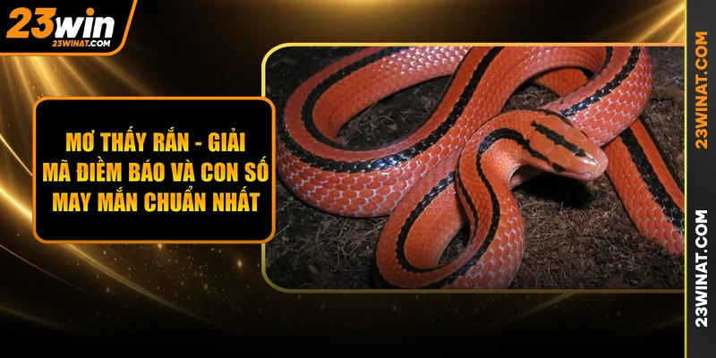Mơ Thấy Rắn - Giải Mã Điềm Báo Và Con Số May Mắn Chuẩn Nhất